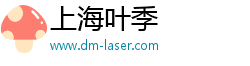 上海叶季